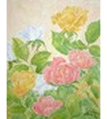 Rose in fiore